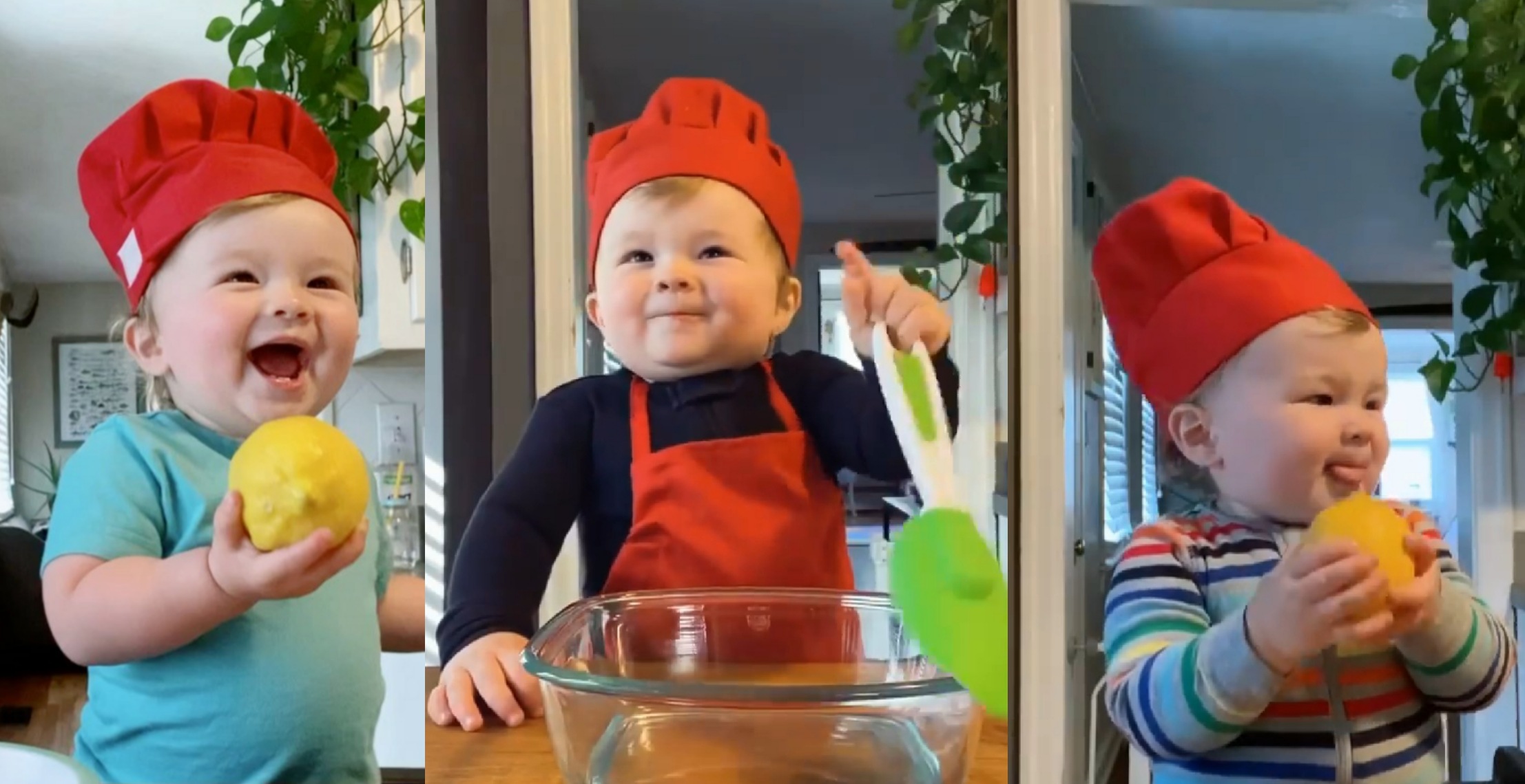 Baby chef kobe viral
