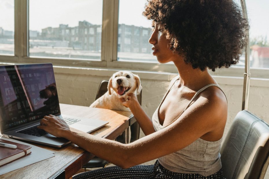 african american female freelancer with laptop and dog