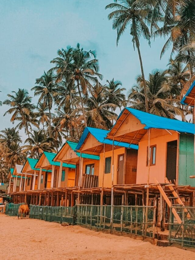 7 Best Sea Beaches in Goa, India Dreamtrix