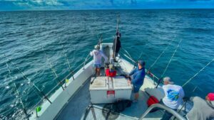 4 Best Places for Deep Sea Fishing in South Carolina, USA