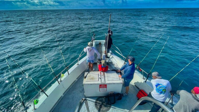 4 Best Places for Deep Sea Fishing in South Carolina, USA 1 4 Best Places for Deep Sea Fishing in South Carolina, USA