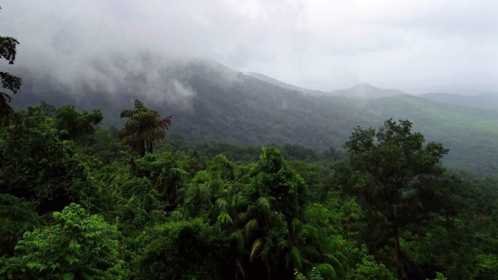 Dudhsagar Falls, Goa - Best time to visit, How to reach, Timings