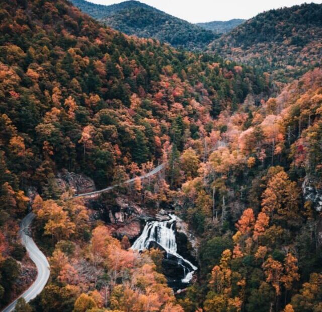 cropped-North-Carolina-United-States.jpeg