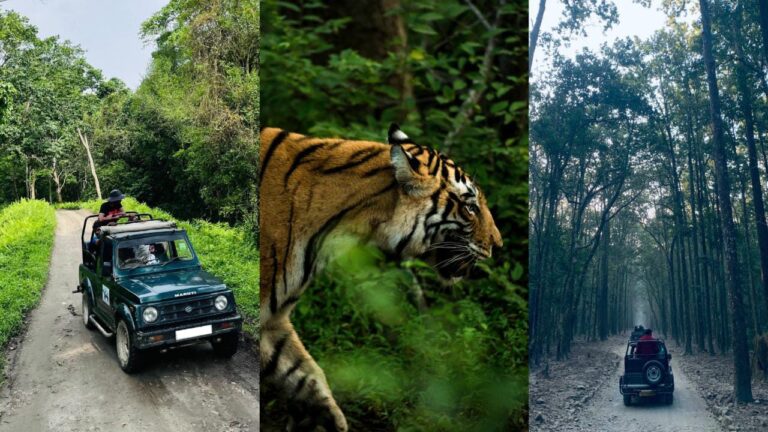 5 National Parks & Wildlife Sanctuaries to visit in Andra Pradesh 1 5 National Parks & Wildlife Sanctuaries to visit in Andra Pradesh
