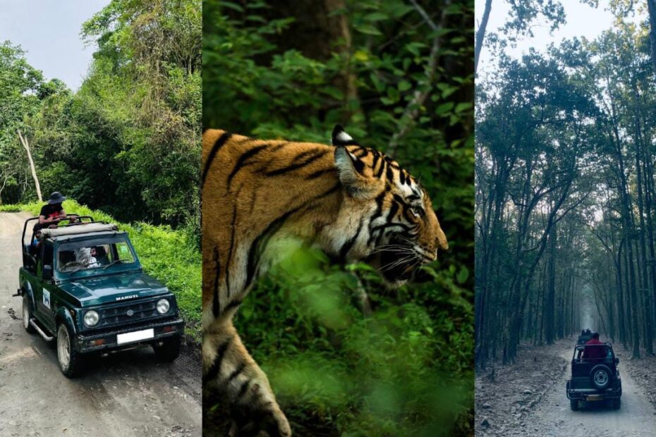 5 National Parks & Wildlife Sanctuaries to visit in Andra Pradesh