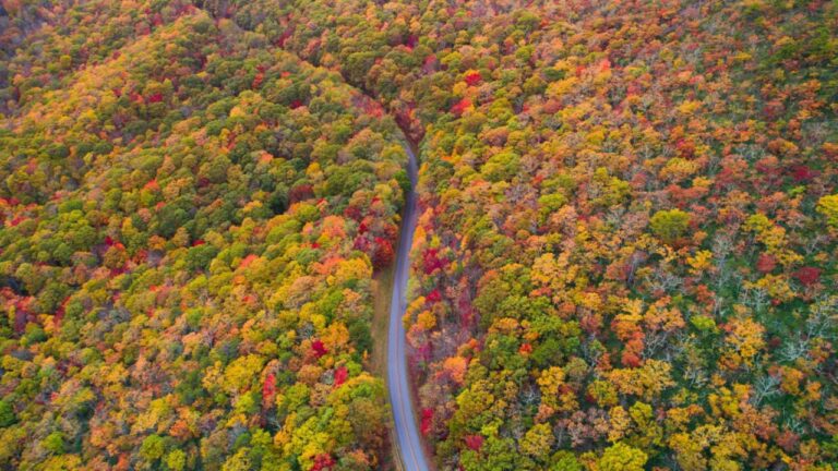 7 Incredible Things North Carolina is Known For 1 7 Incredible Things North Carolina is Known For