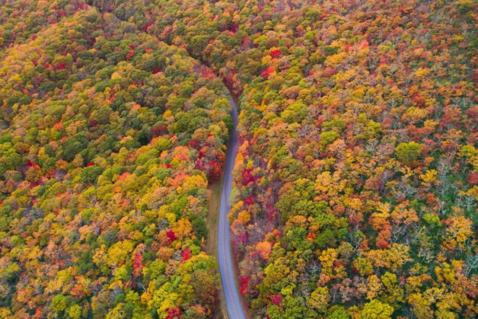 7 Incredible Things North Carolina is Known For