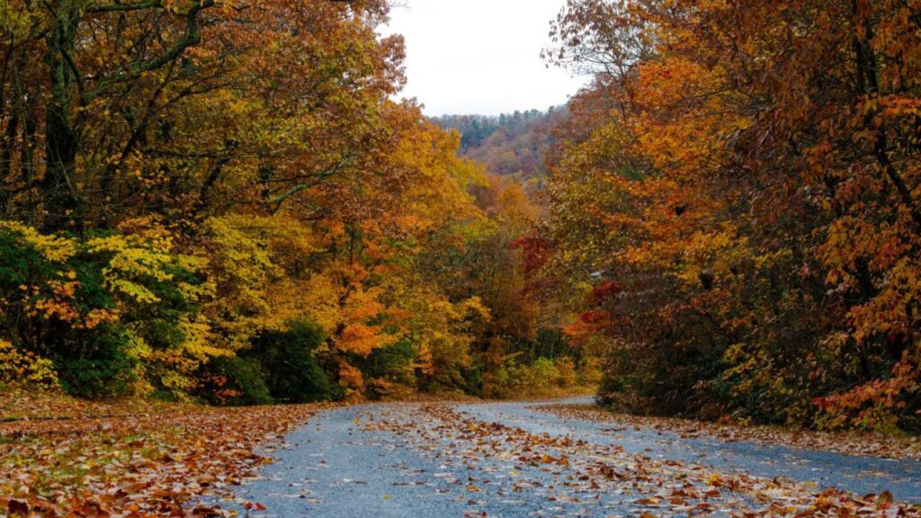 7 Incredible Things North Carolina is Known For