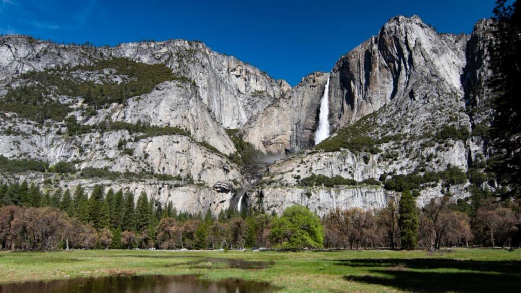 5 Best Things to do in Yosemite National Park, California