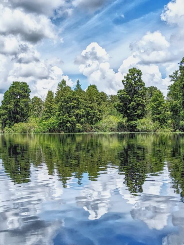7 Beautiful Lakes to visit in Florida, USA