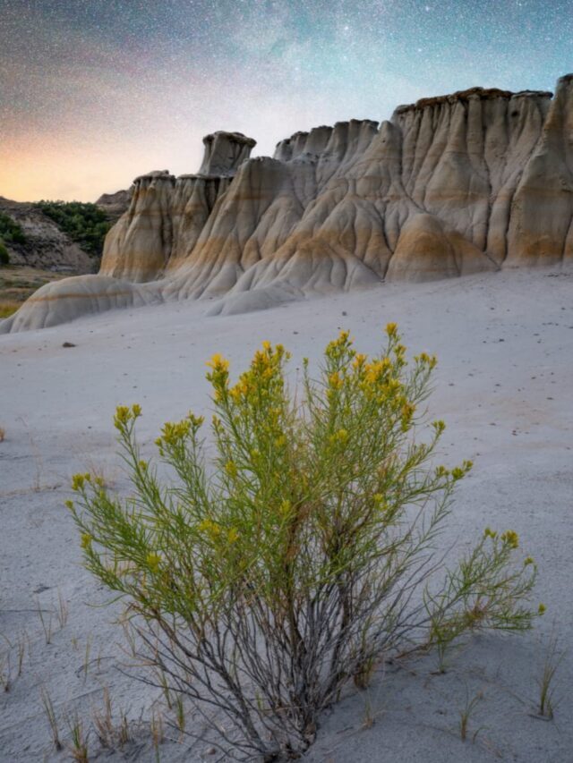 7 Best Places to Visit in North Dakota, USA