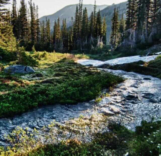 cropped-Olympic-National-Park-Washington.jpeg