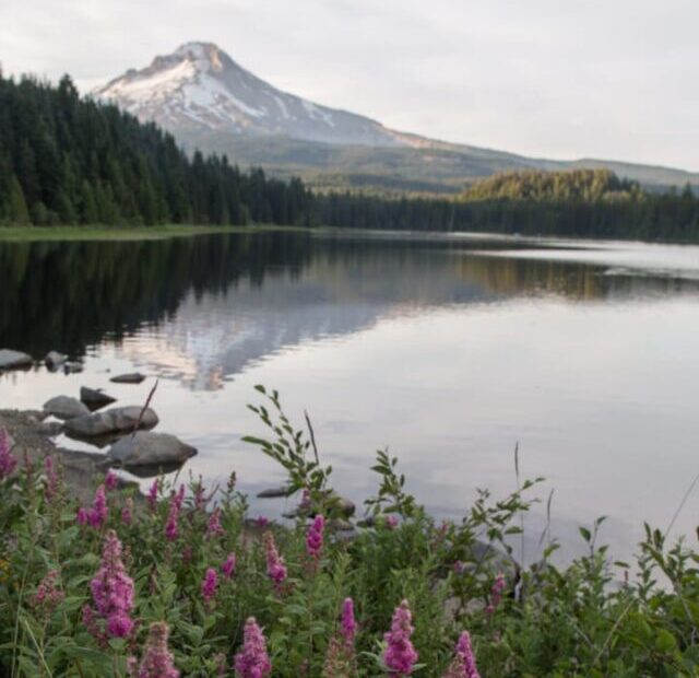 cropped-Oregon-United-States.jpeg