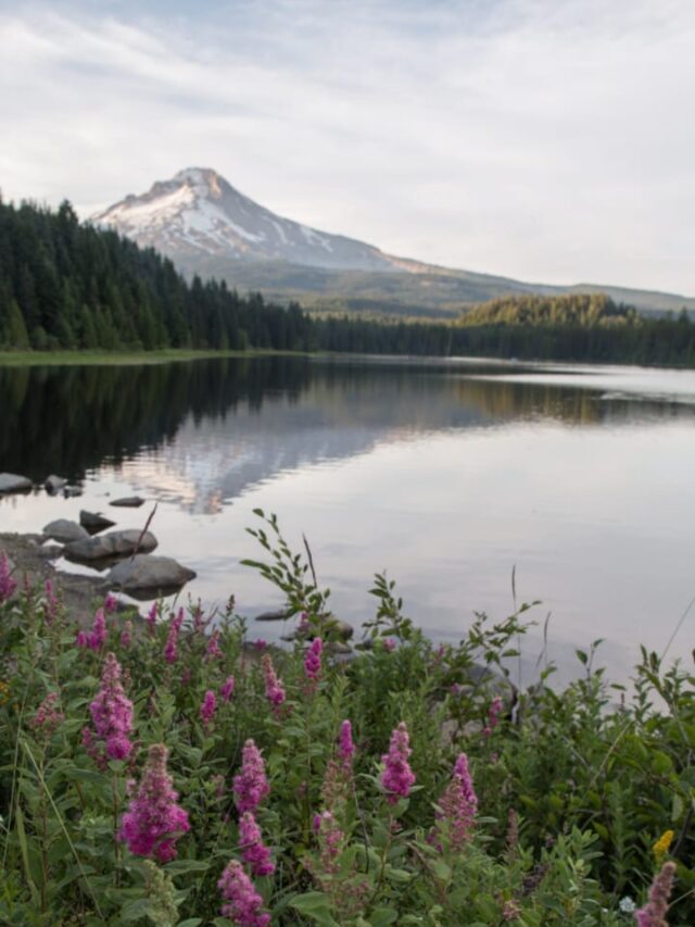 7 Best Places to Visit in Oregon, United States