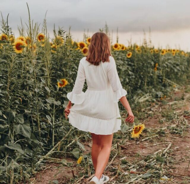 cropped-Sunflower-field-in-Kansas-United-States.jpeg