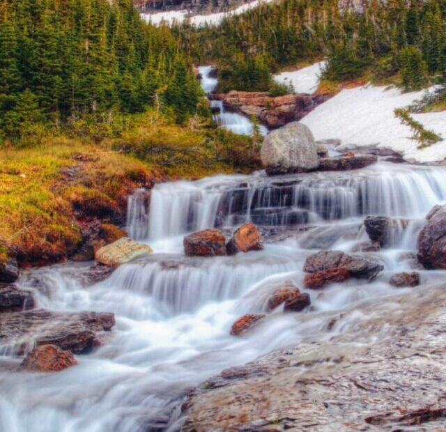 Trail of the Cedars, Glacier National park