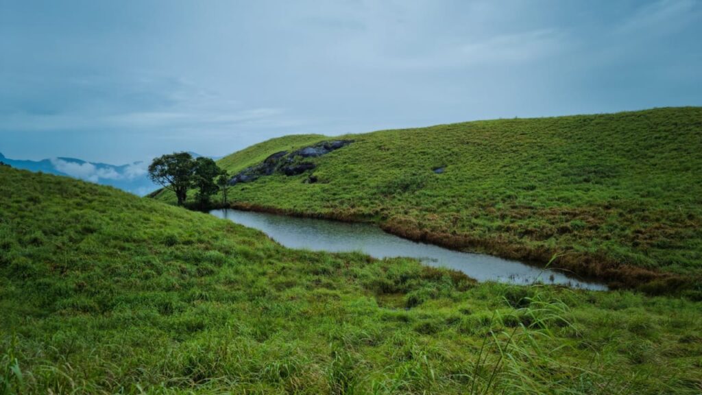 Top 5 Hill Stations in Kerala (India) and Things to Do there