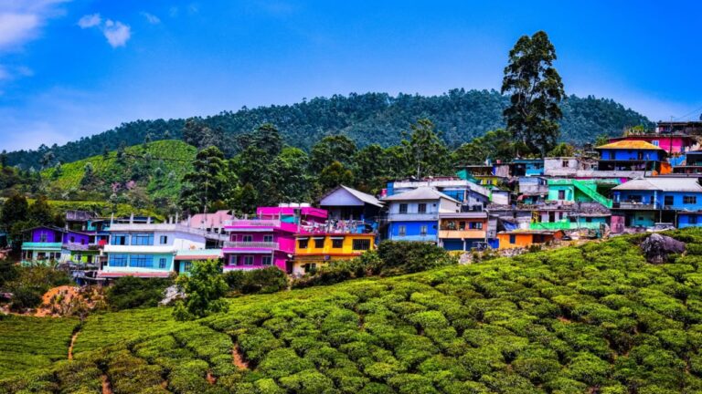 Top 5 Hill Stations in Kerala (India) and Things to Do there 1 Top 5 Hill Stations in Kerala (India) and Things to Do there