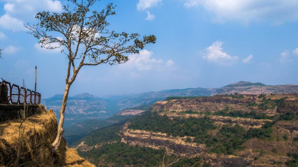 6 Breathtaking Hill Stations You Must Visit in South India