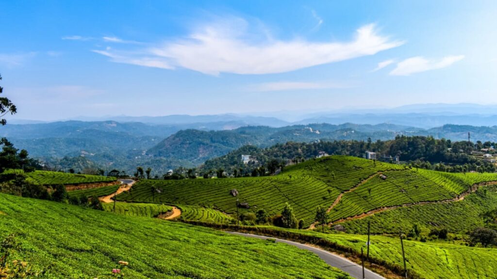 6 Breathtaking Hill Stations You Must Visit in South India