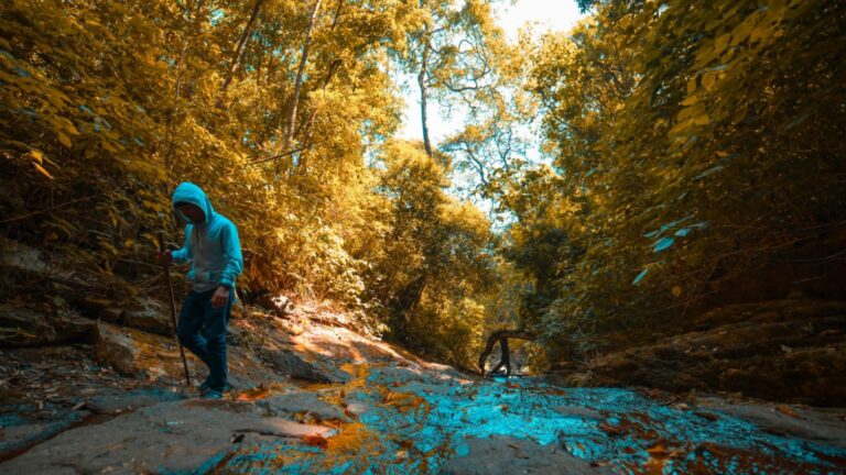 9 Best Places for Trekking Near Mumbai & Pune (Maharashtra)