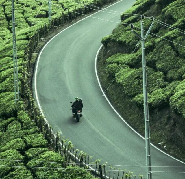 Kerala Hills