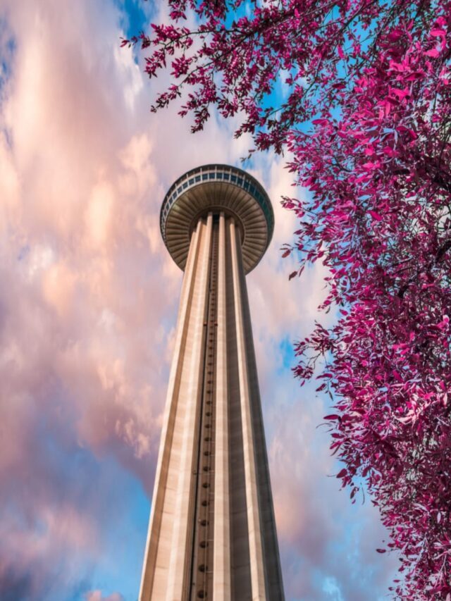 Top 7 Things to do in San Antonio, Texas