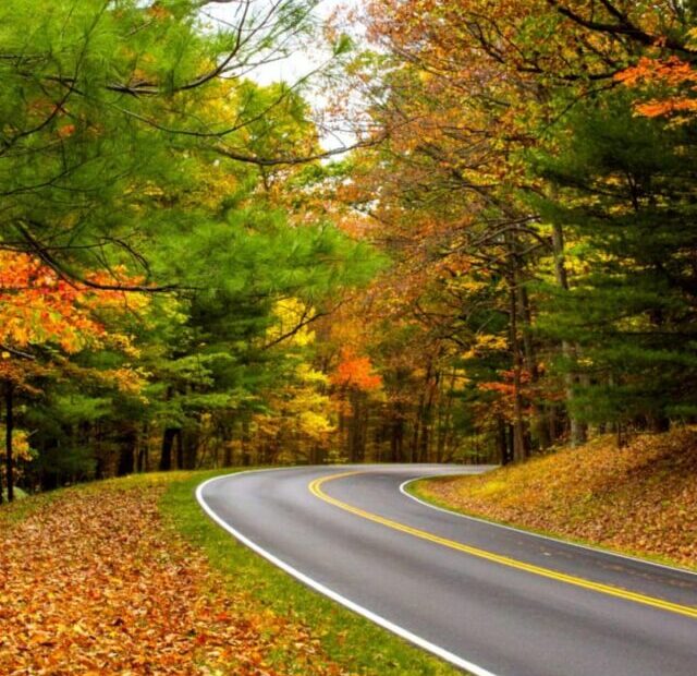 cropped-Shenandoah-National-Park.jpeg