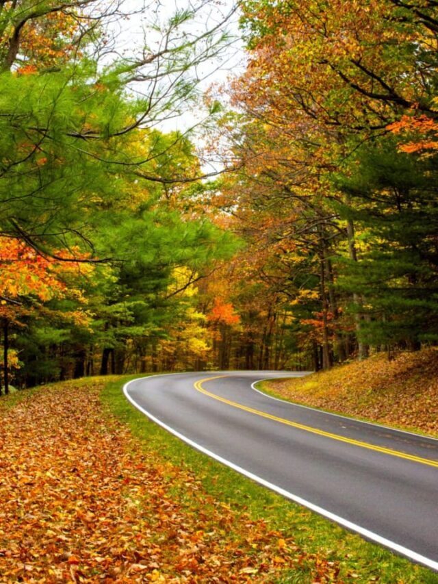 7 Best Places to Visit in Shenandoah National Park, Virginia