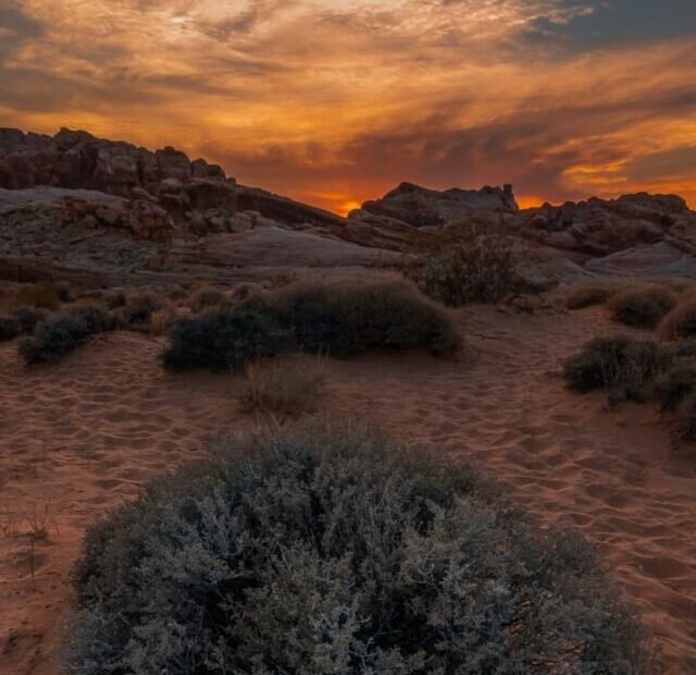 Desert in Nevada