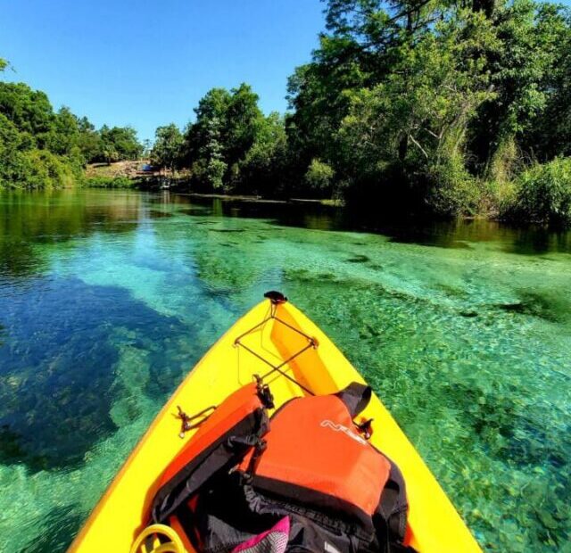 Natural Spring in Florida