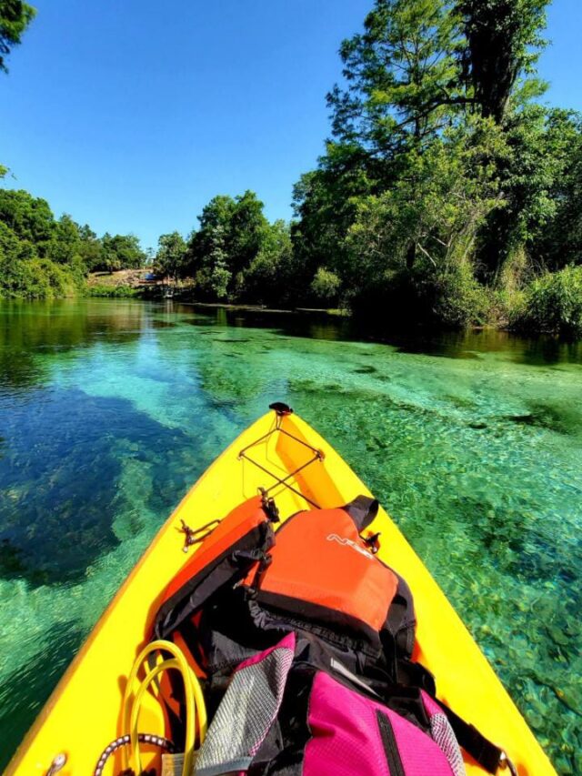 7 Beautiful Springs to visit in Florida, USA Dreamtrix