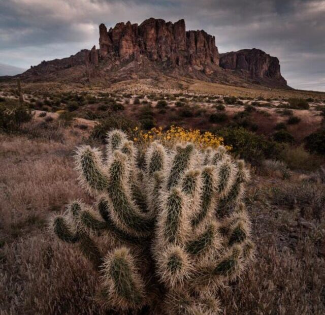 Natural Wonder in Arizona