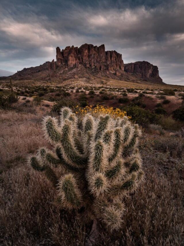 Top 7 Natural Wonders to visit in Arizona, USA