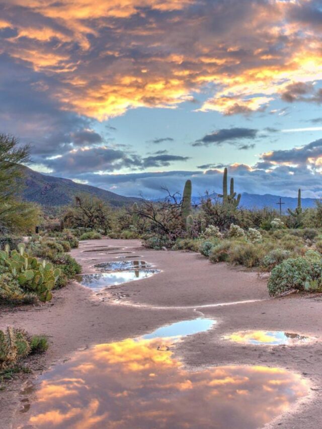 7 Best Places to Visit in Tucson, Arizona