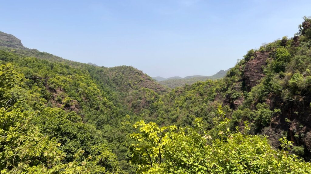 Forest in Pachmarhi, Madhya Pradesh