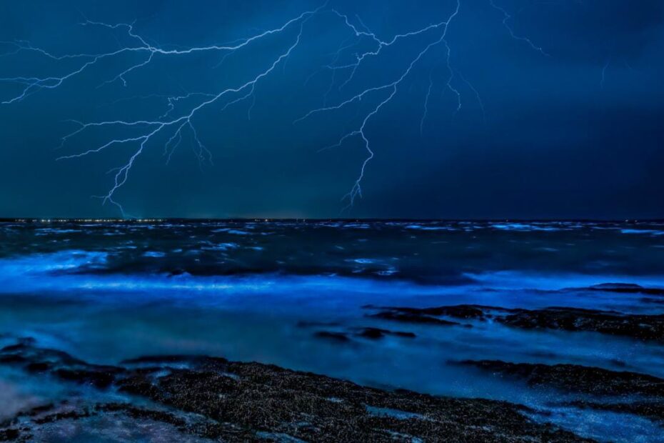 Top 5 Beautiful Bioluminescent Beaches In India