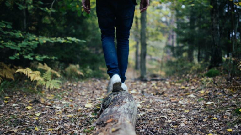 6 Best Hiking Trails in Wisconsin, United States 1 6 Best Hiking Trails in Wisconsin, United States
