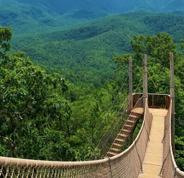 Great Smoky Mountains National Park, USA