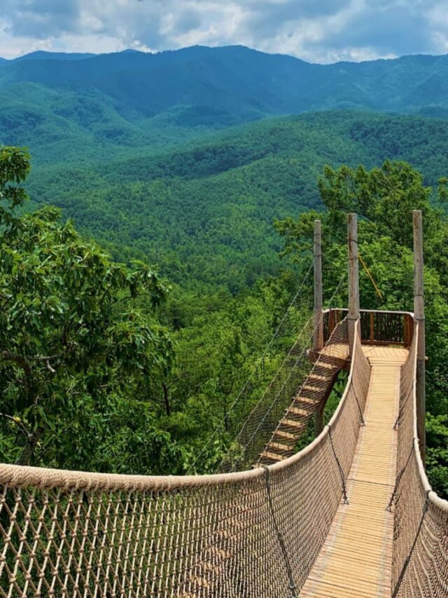 7 Facts About Great Smoky Mountains National Park