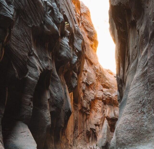 Zion National Park, Utah, USA