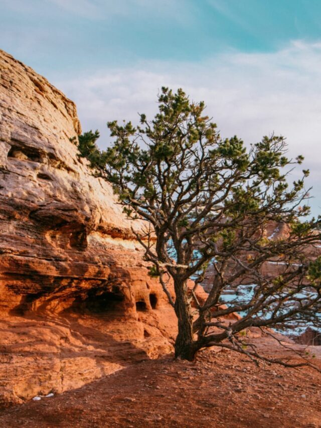 7 Facts About Canyonlands National Park, Utah