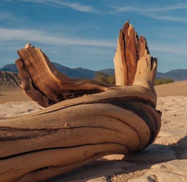 Death Valley National Park, USA