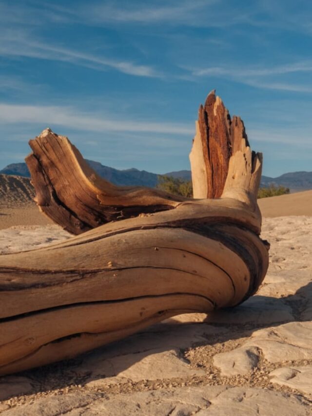 7 Facts About Death Valley National Park, USA