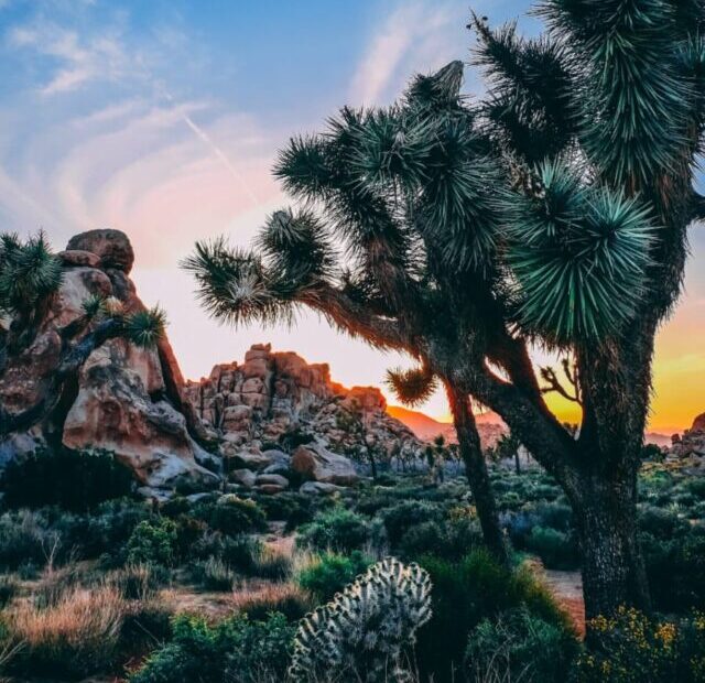 Hidden Valley, Joshua Tree National Park