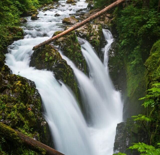 Olympic National Park, Washington state