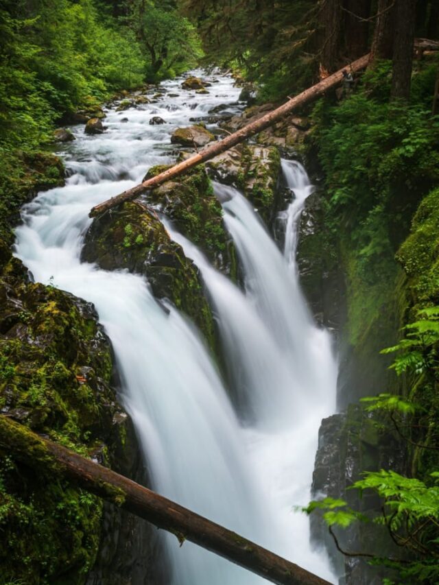 7 Facts About Olympic National Park, Washington