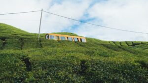 Top 6 Famous Hill Stations To Visit In Malaysia