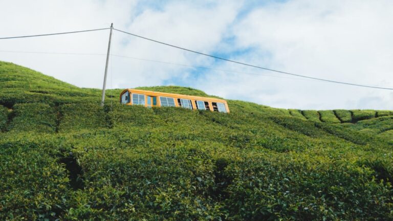 Top 6 Famous Hill Stations To Visit In Malaysia 1 Top 6 Famous Hill Stations To Visit In Malaysia