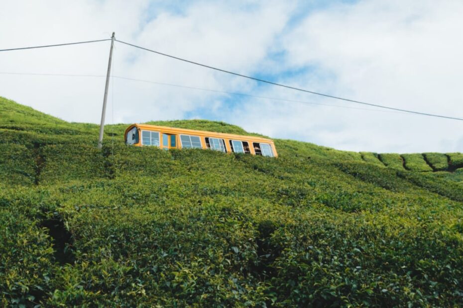 Top 6 Famous Hill Stations To Visit In Malaysia